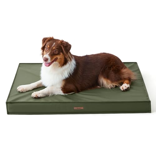 Waterproof Orthopedic Egg Crate Foam Dog Bed with Removable Washable Cover, Green Q978251