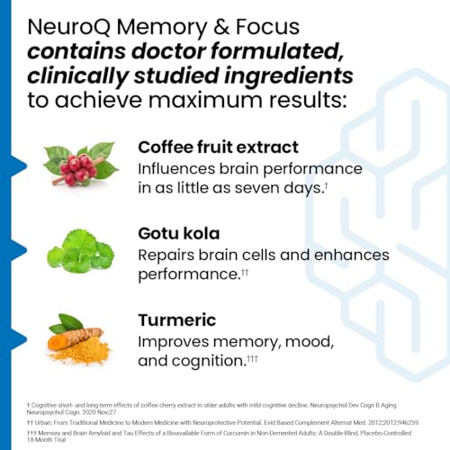 60 Capsules Memory & Focus Supplement L522