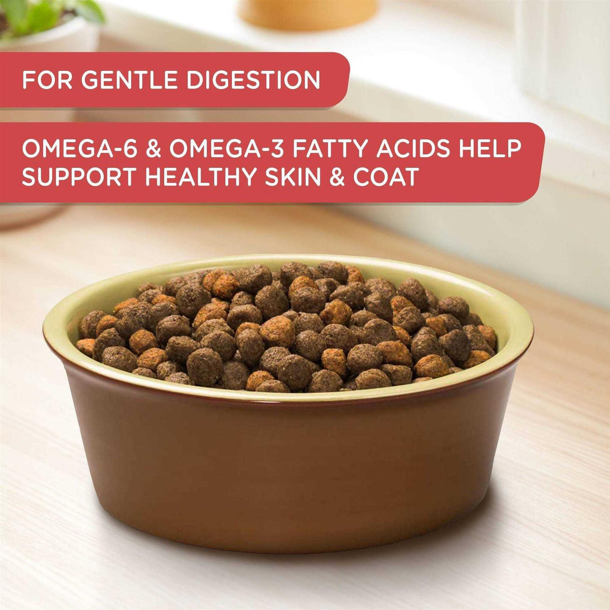 Salmon Veggies & Brown Recipe Dry Dog Food G33965