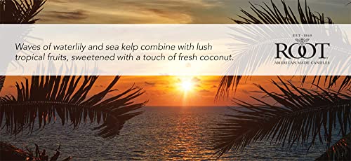 4-Ounce Beeswax Blend Candle Citron Bergamot W5765