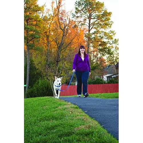Easy Walk Dog Harness C160762