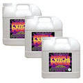 Purple Power Degreaser Concentrate, 2.5 Gallons (3 Pack) I5290