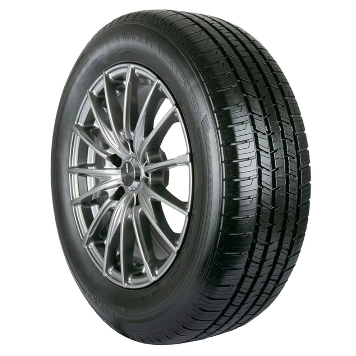 All Season 225/60R17 99H Passenger Tire D89200
