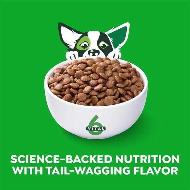 High Protein Real Chicken & Rice Dry Dog Food Z51825