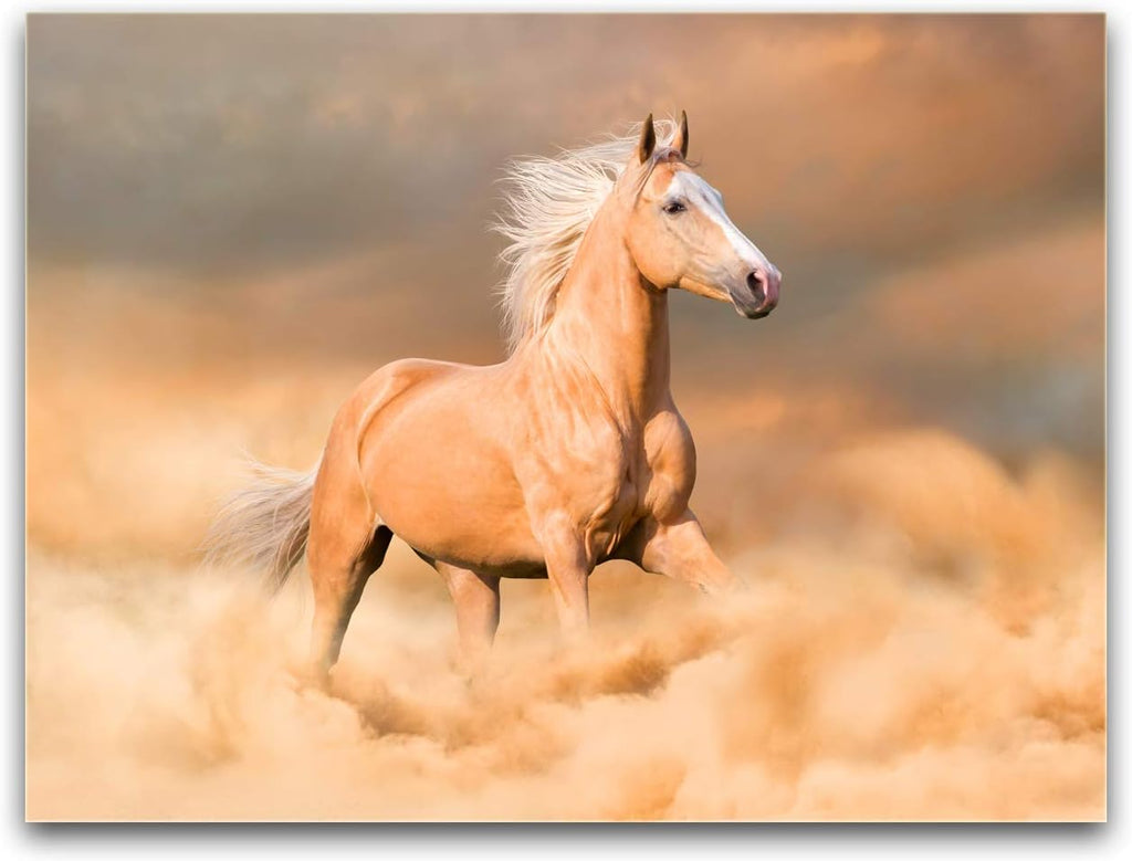 12x16 inches Framed Canvas Print Wall Decor T943