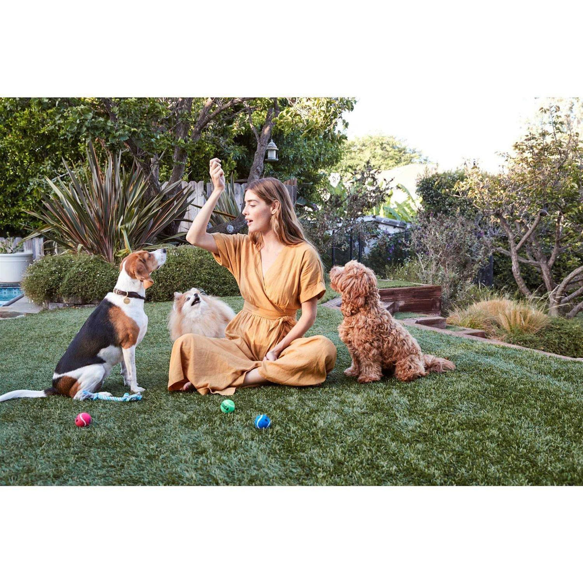 Chicken Strips Dog Treats B6748