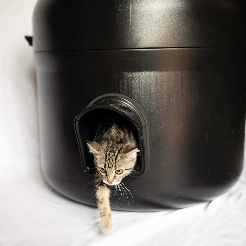 Insulated Outdoor Cat House with Pillow G811427