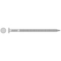 Ring Shank Nail 25lb O69824