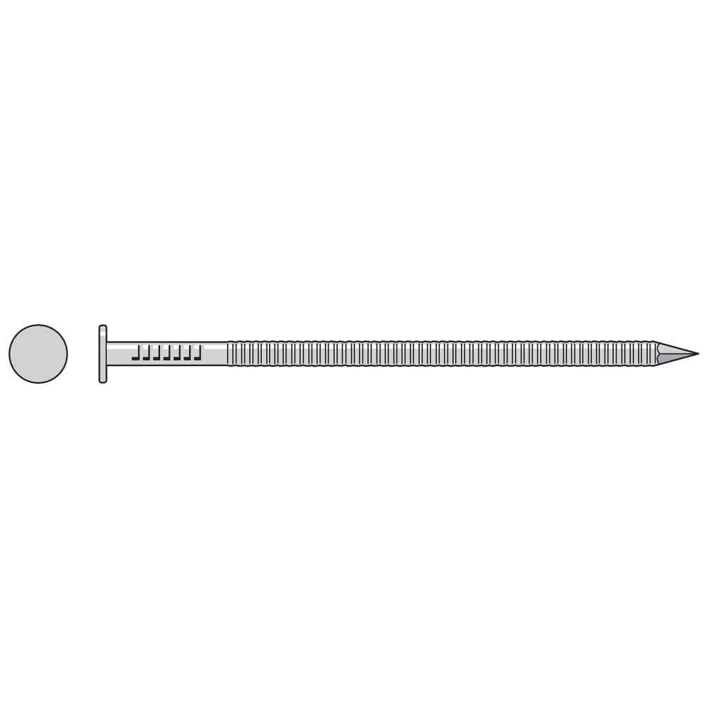 Ring Shank Nail 25lb O69824