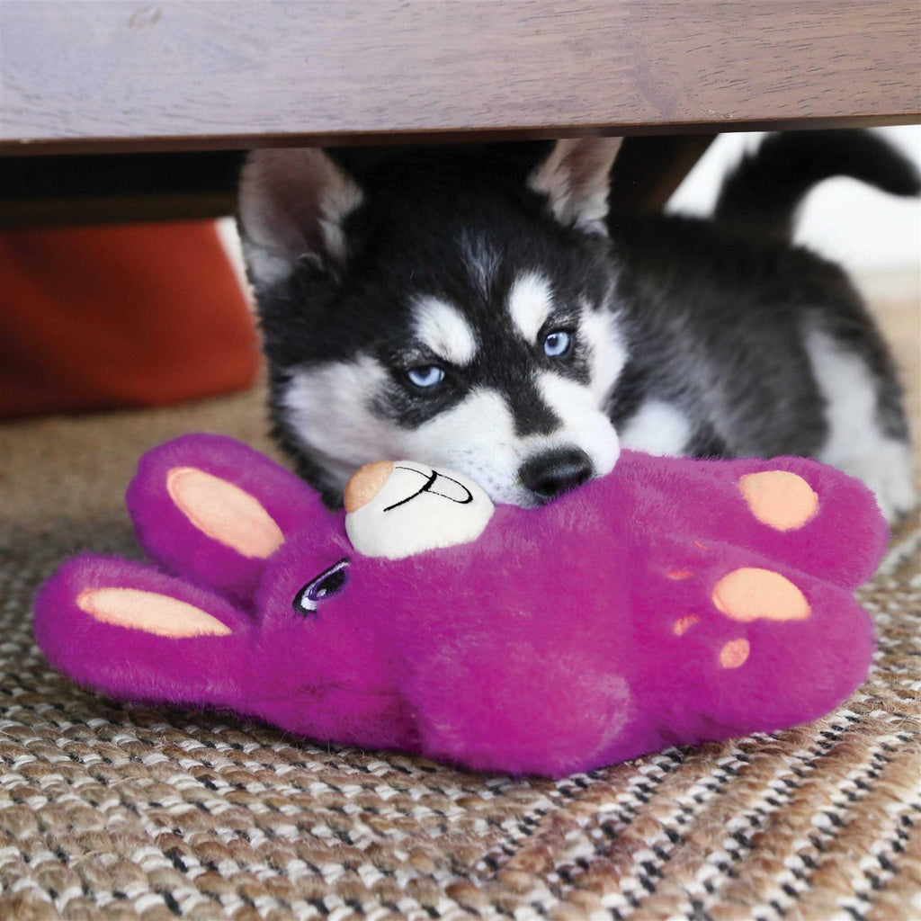 Koala Dog Toy T899743