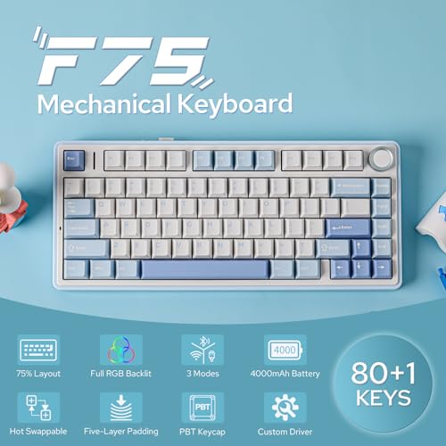 Light Blue 75% Wireless Mechanical Keyboard N558