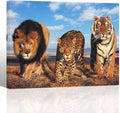 12x16 inches Framed Canvas Print Wall Decor T943
