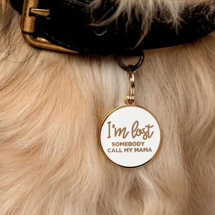 Gold & White Pet ID Tag T338807