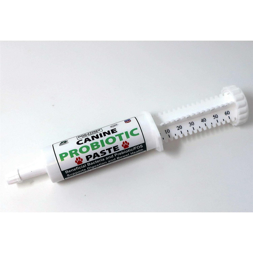 Canine Probiotic Paste I382439