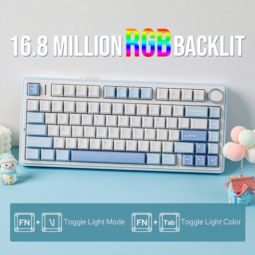 Light Blue 75% Wireless Mechanical Keyboard N558