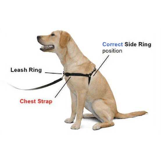 No Pull Dog Harness R831110