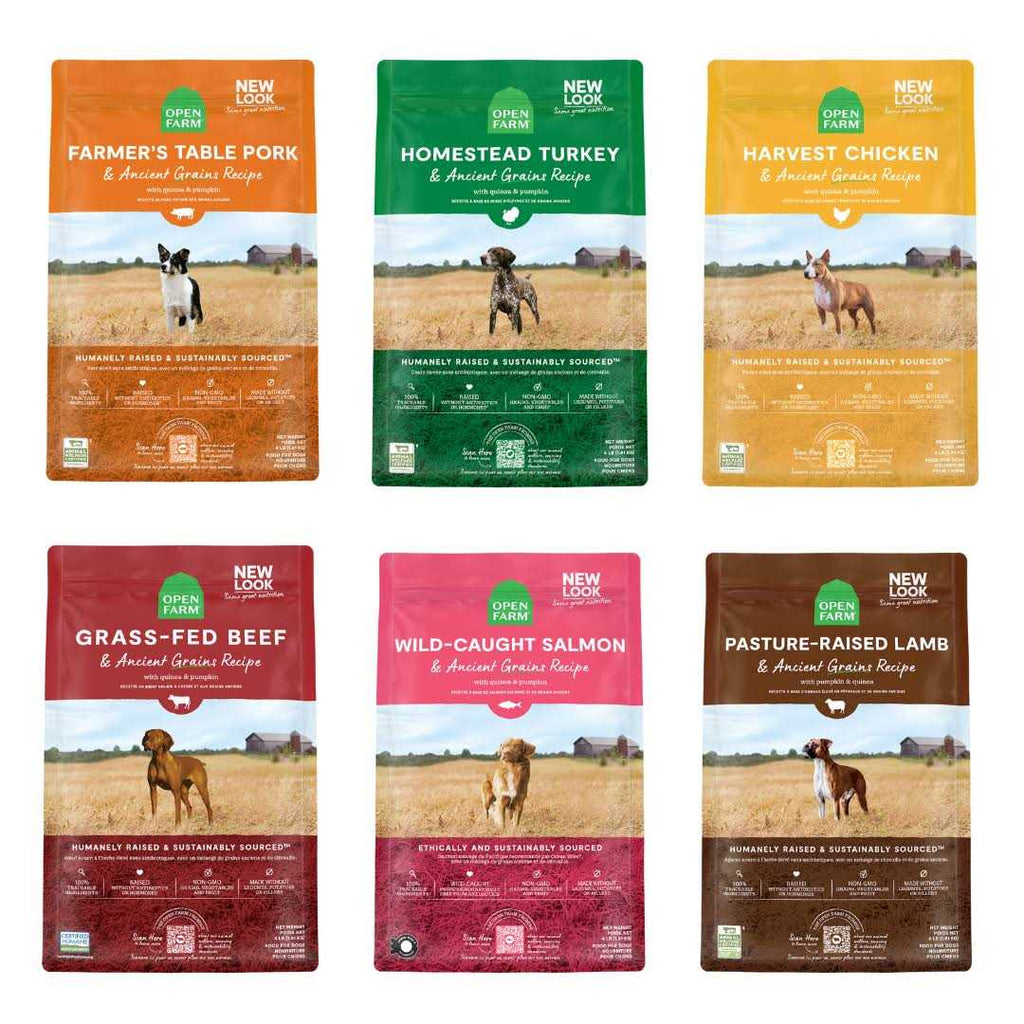 Homestead Turkey Ancient Grains Dry Dog Food R604