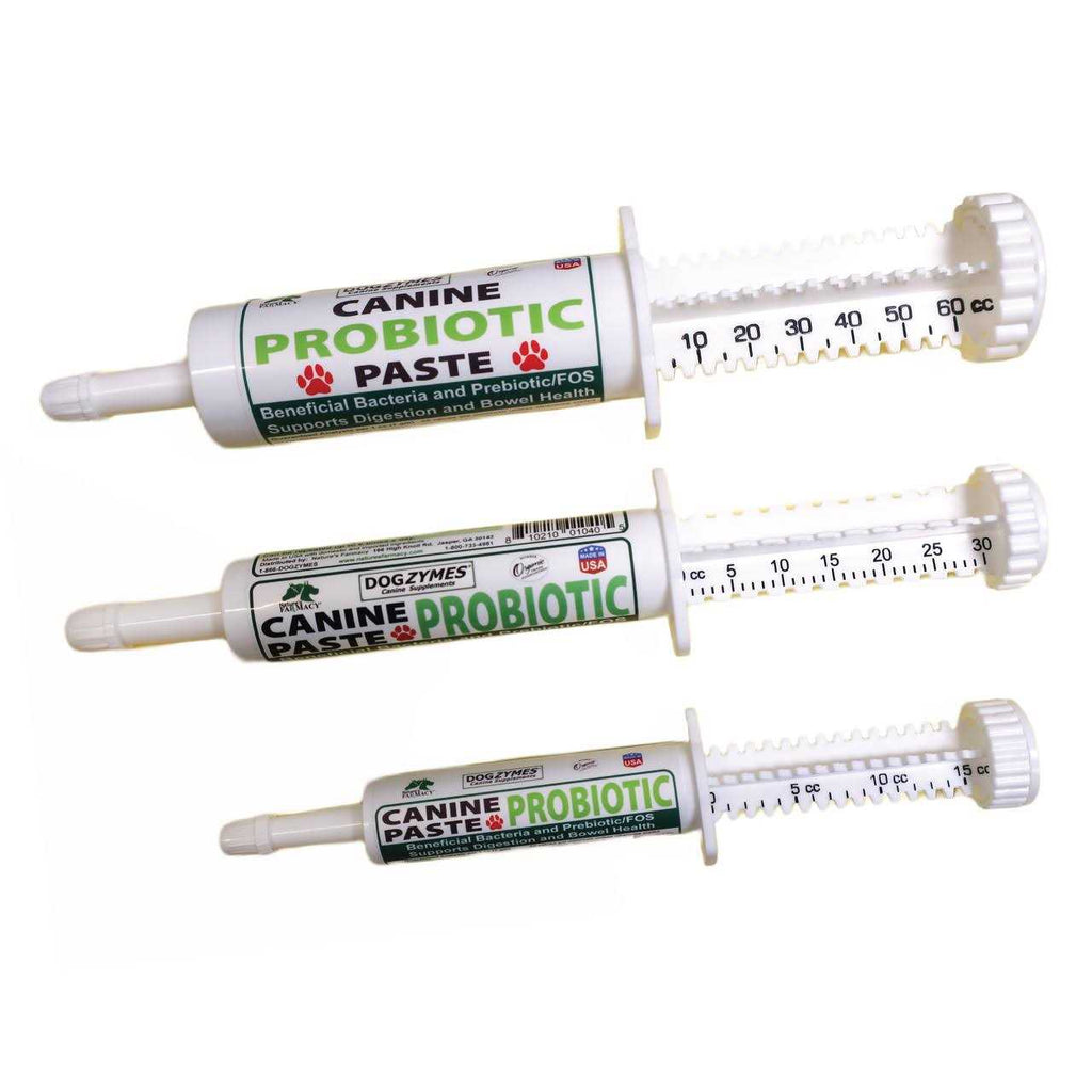 Canine Probiotic Paste I382439