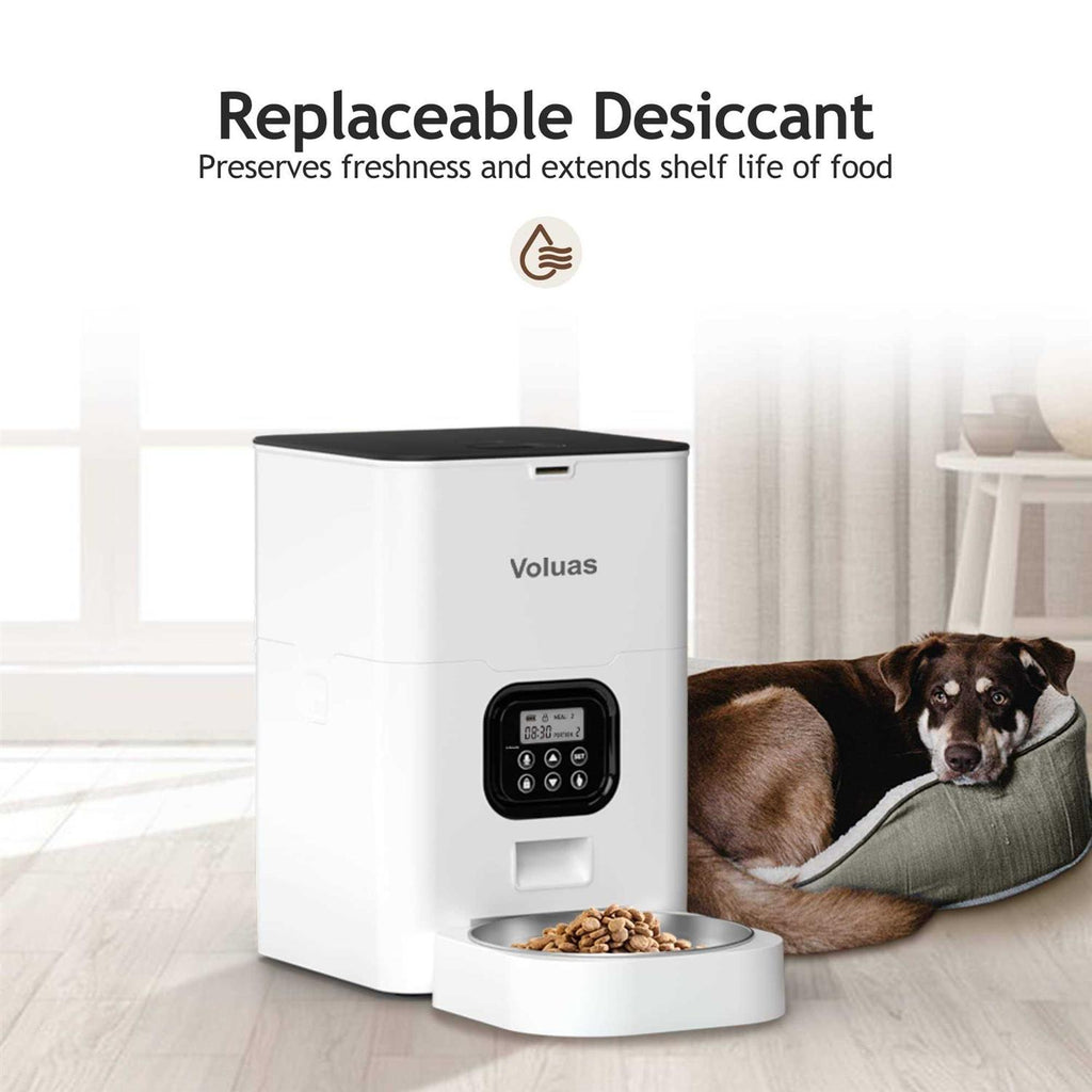Automatic Pet Feeders N31654