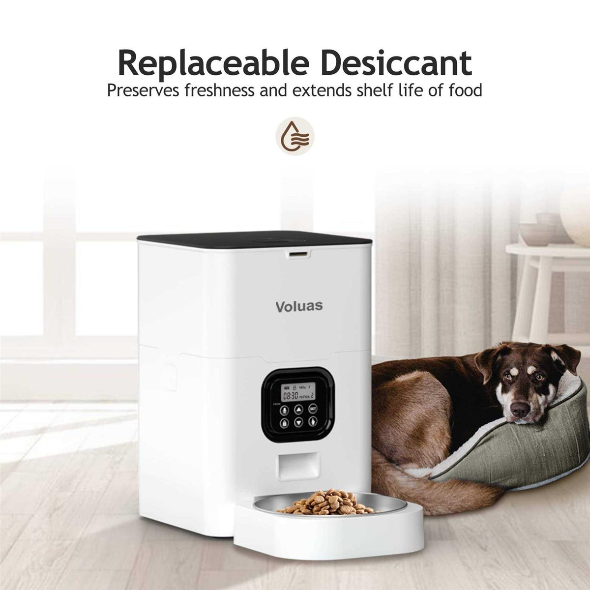Automatic Pet Feeders N31654