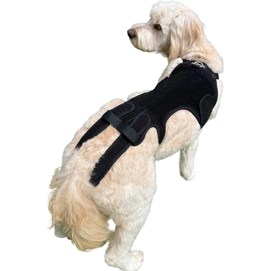 Dog Back Brace V169