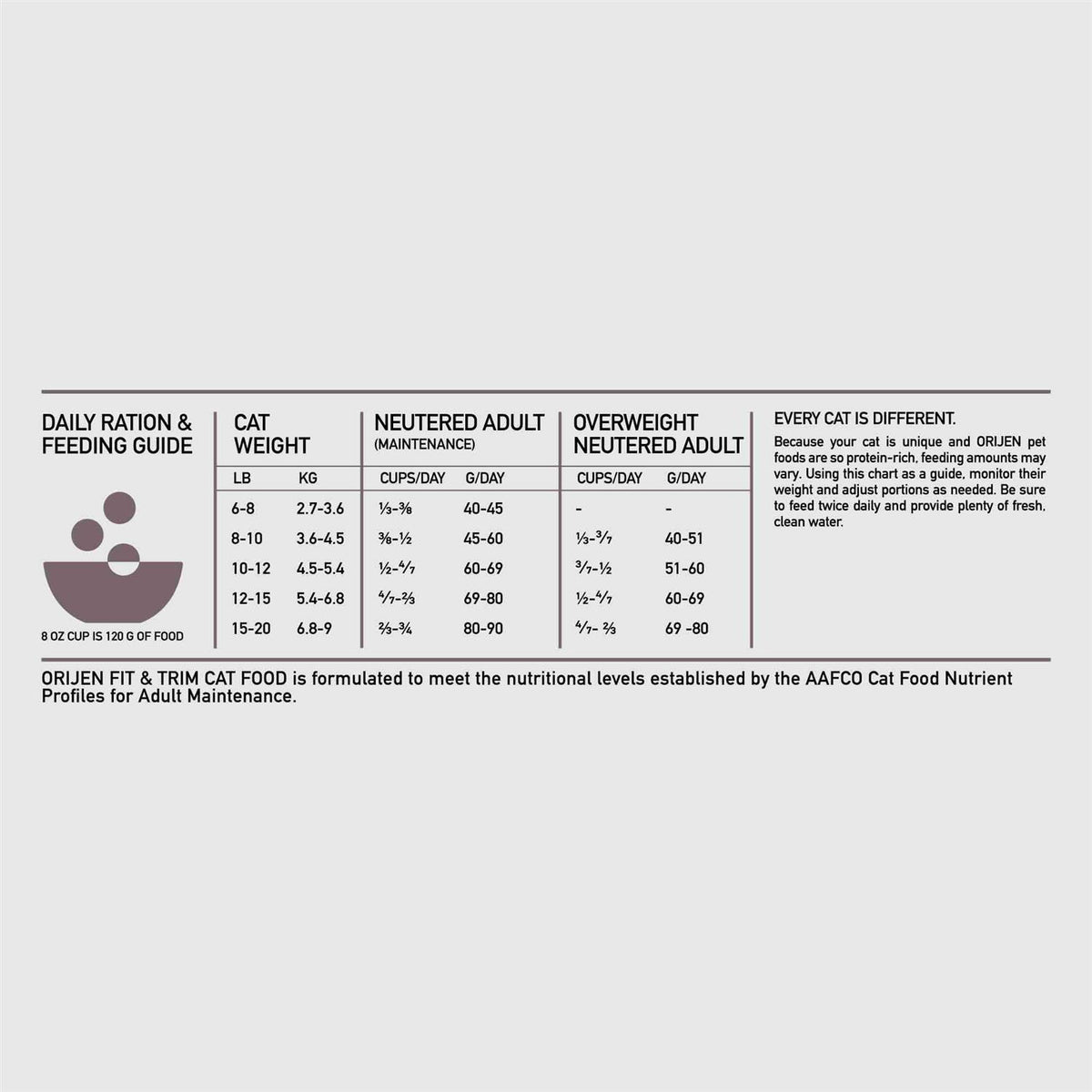 Cat Dry Food T65146