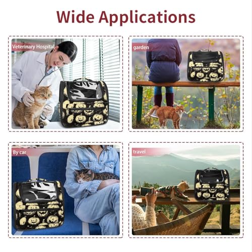 Ventilated Pet Travel Carrier D81886
