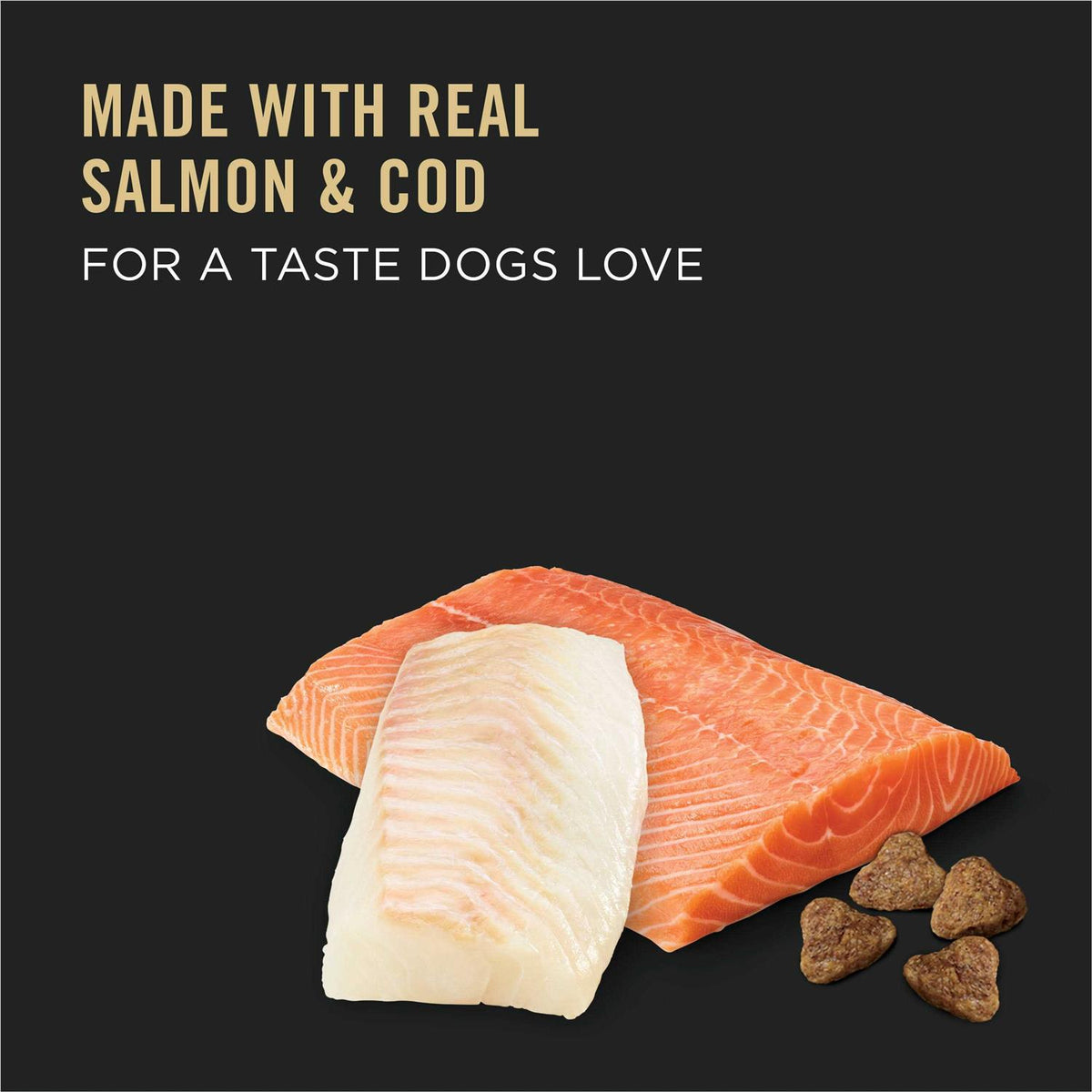 Dry Dog Food P63356