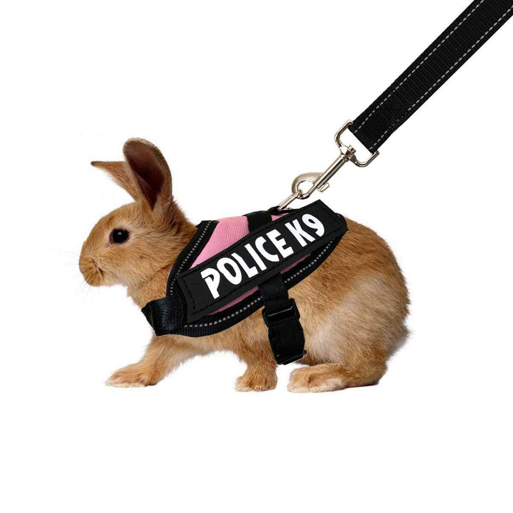 Rabbit Harness with Leash Z40547