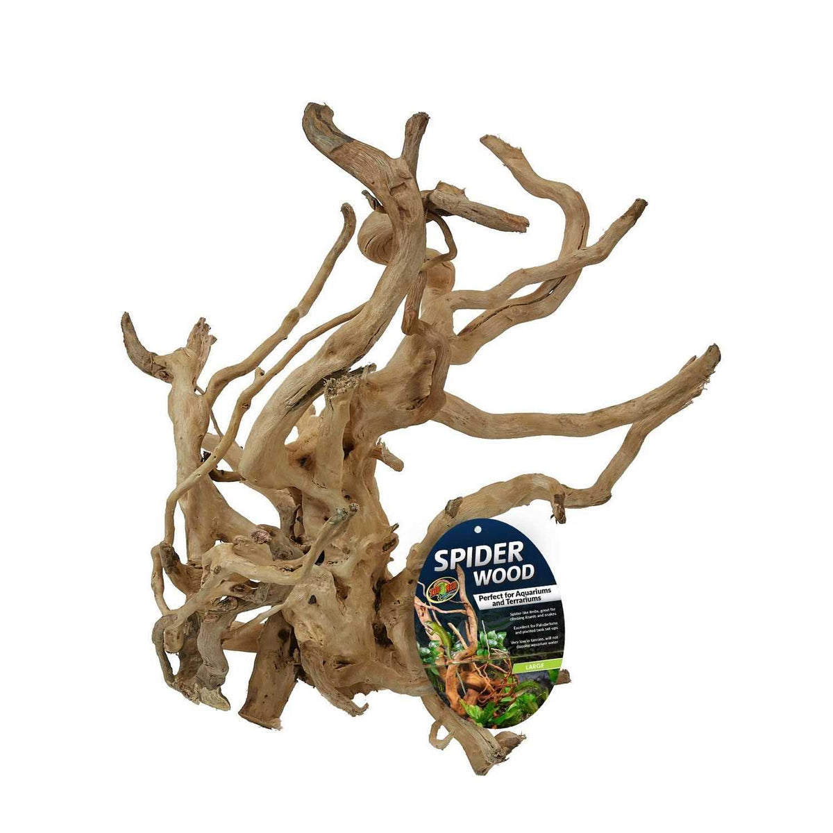Spider Wood V433267