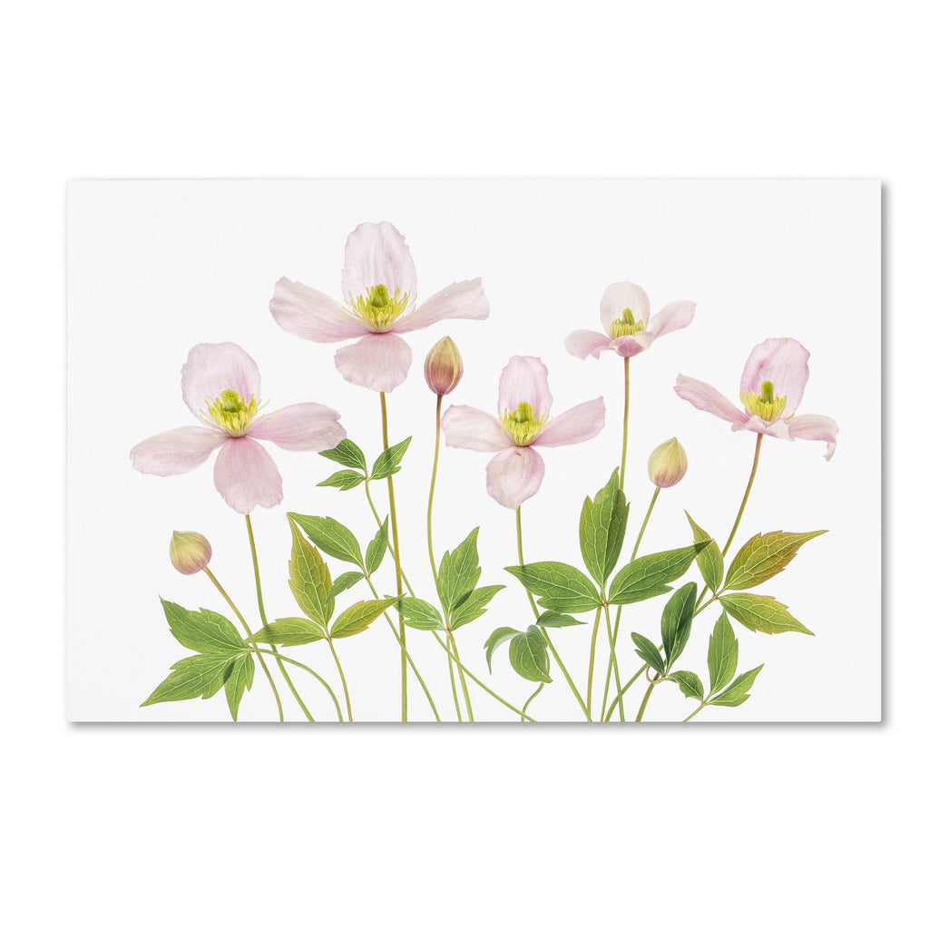 Canvas Art I216532