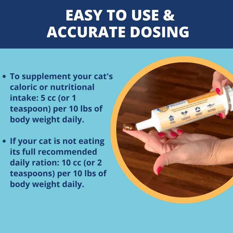 High Calorie Food Supplement for Cats T193