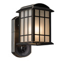 Bronze Camera Porch Light S9871