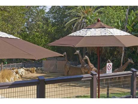 Patio Umbrella with Wood Pole Hardwood Ribs K468587