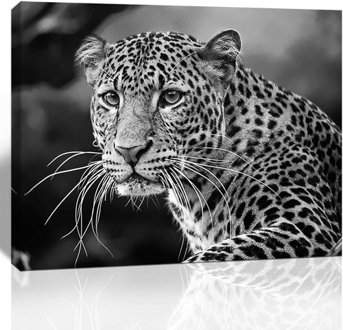 12x16 inches Framed Canvas Print Wall Decor T943