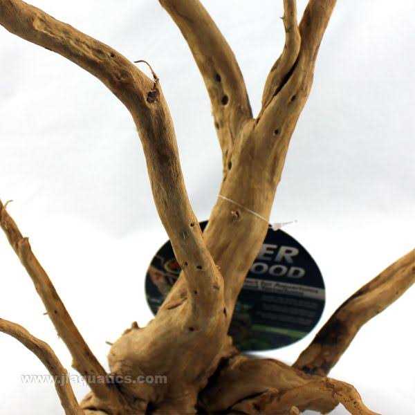 Spider Wood V433267