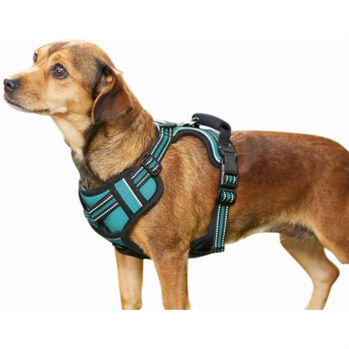 Padded Reflective Dog Harness V440879