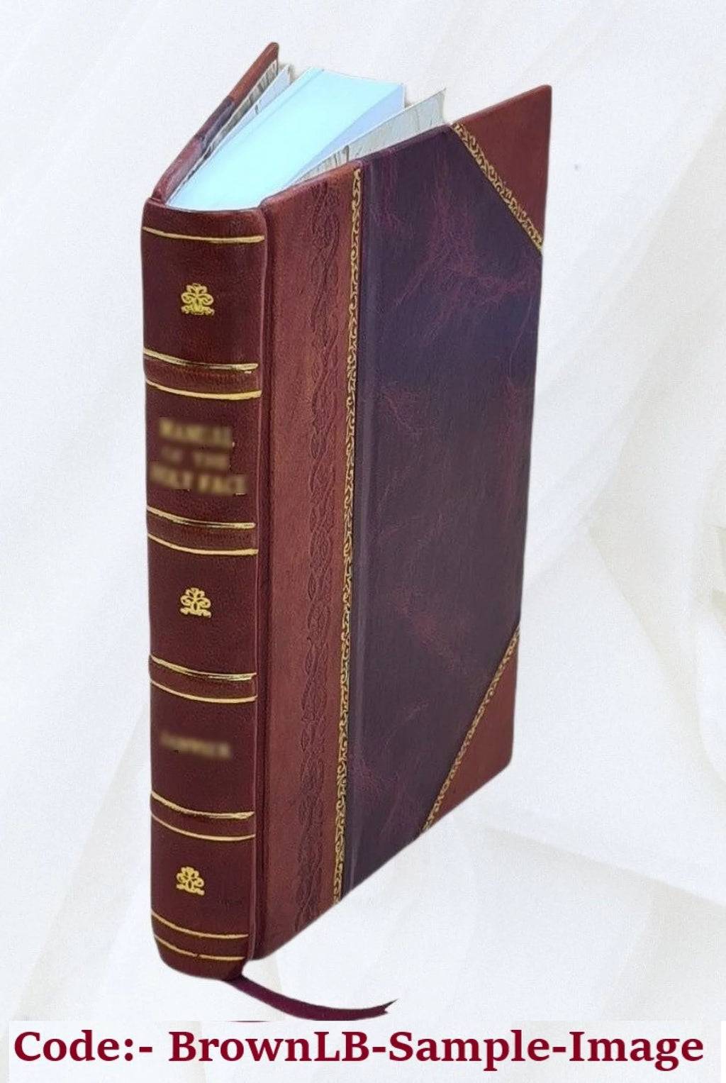 Leather Bound T448001