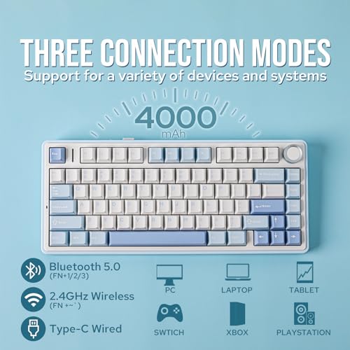 Light Blue 75% Wireless Mechanical Keyboard N558