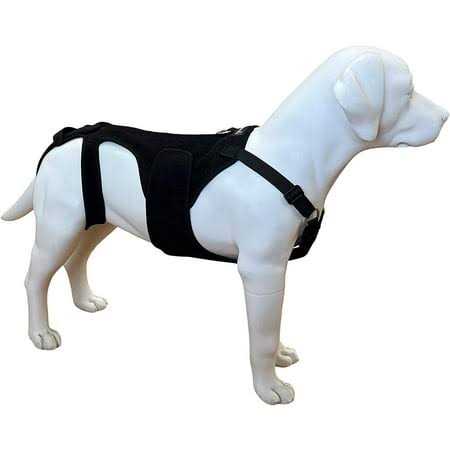 Dog Back Brace V169