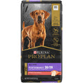 Dry Dog Food P63356