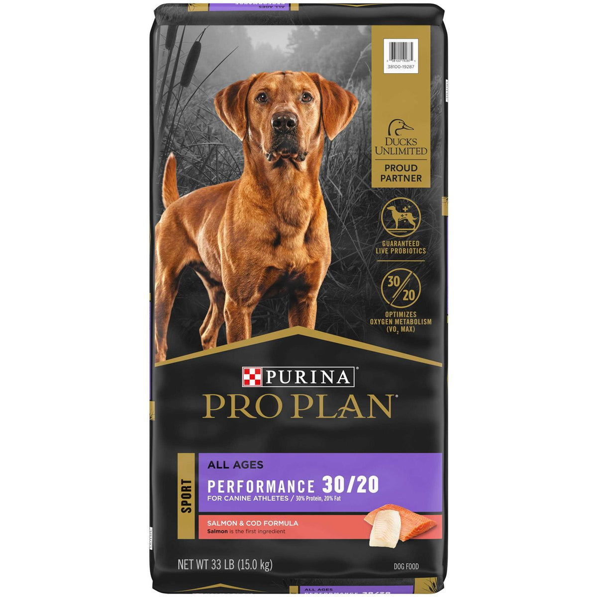Dry Dog Food P63356