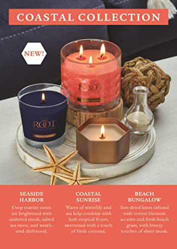 4-Ounce Beeswax Blend Candle Citron Bergamot W5765