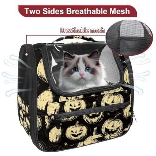 Ventilated Pet Travel Carrier D81886