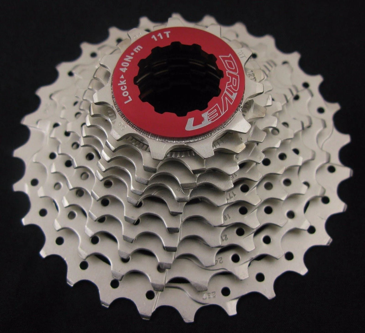 Silver 10 Speed Cassette R9690