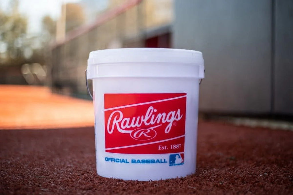 24 Pack Baseballs W1355
