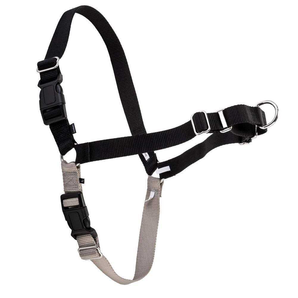 Easy Walk Dog Harness C160762