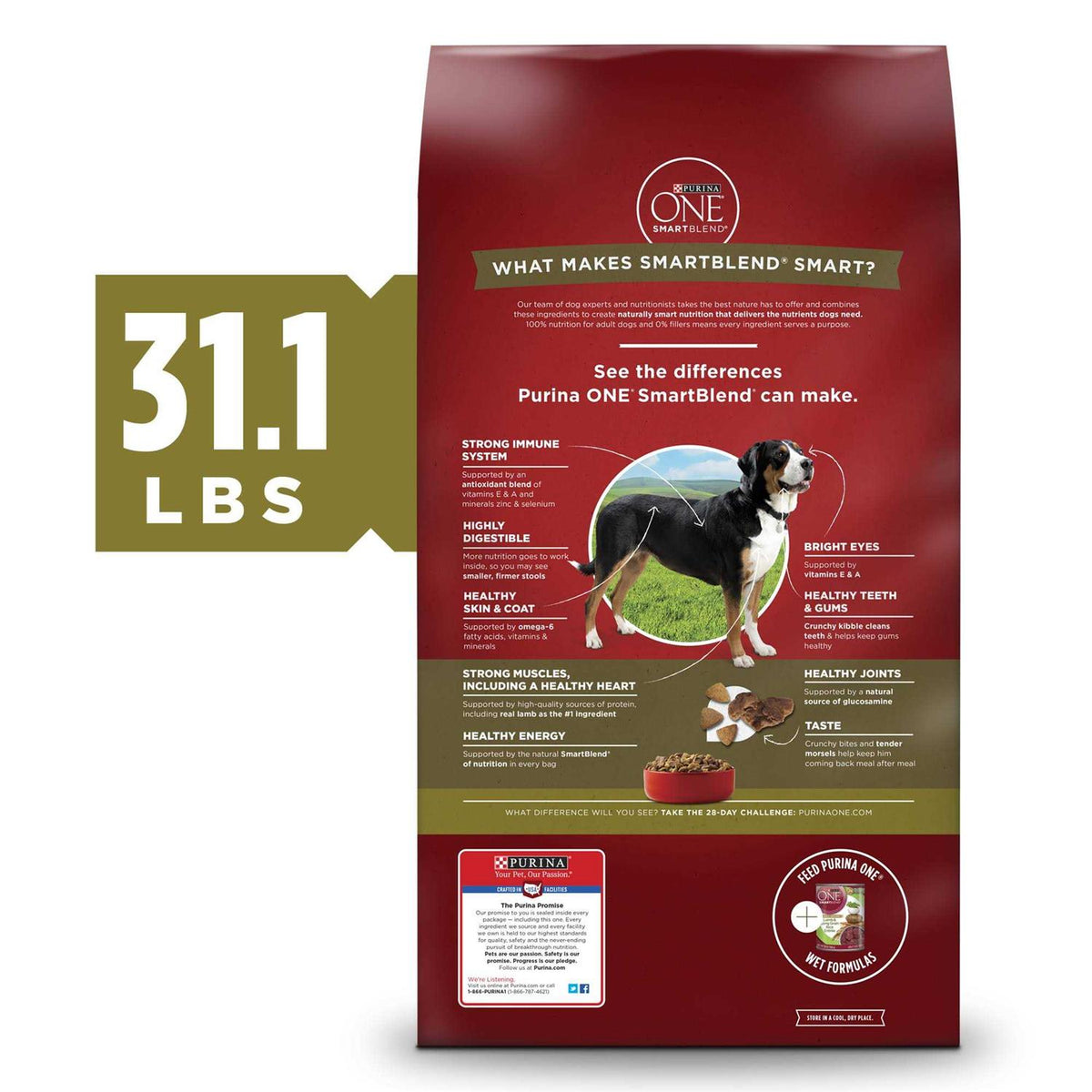 Dry Dog Food Rice Formula G894