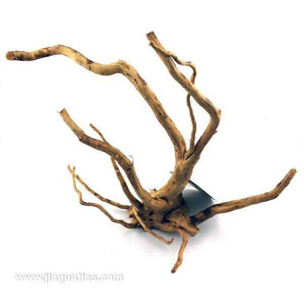Spider Wood V433267