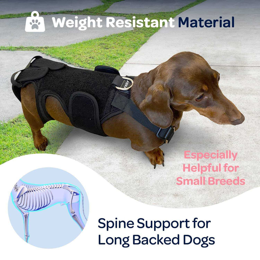 Dog Back Brace V169